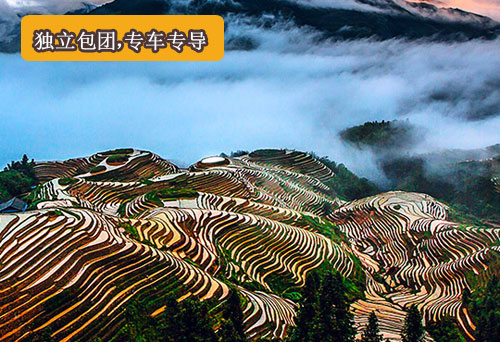 桂林阳朔、龙脊梯田、神韵三晚四日【包车游】