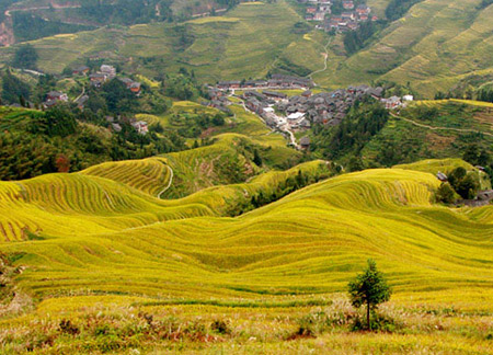 你可能不知道的龙脊梯田!玩法多多
